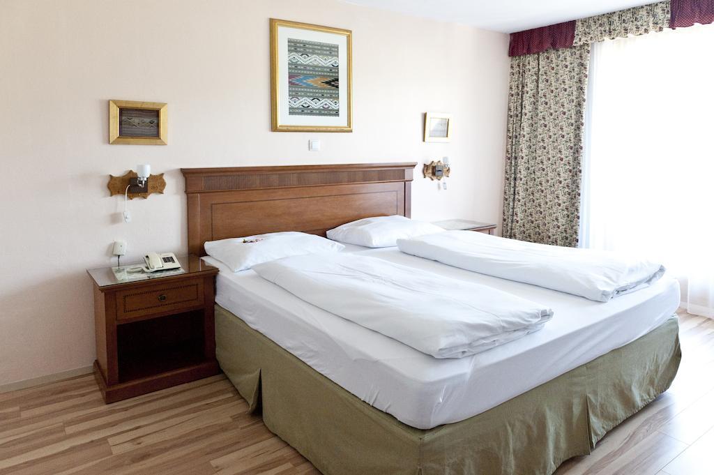 Hotel Alpenkrone フィルツモース 部屋 写真